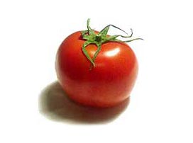 Tomate
