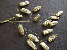 Briza Maxima