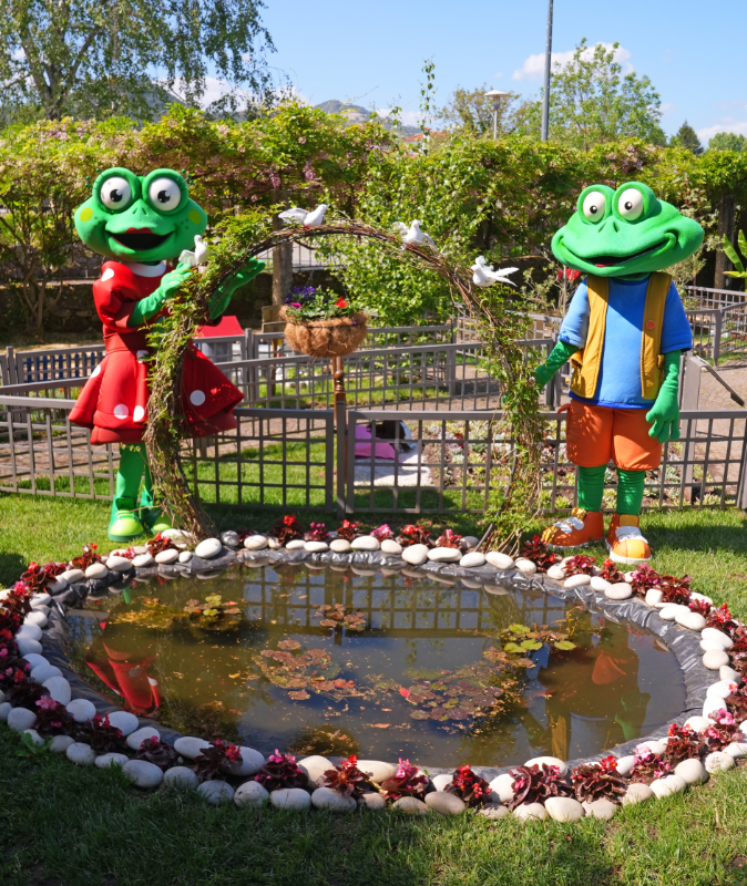 O Sonho dos Abelhásticos
